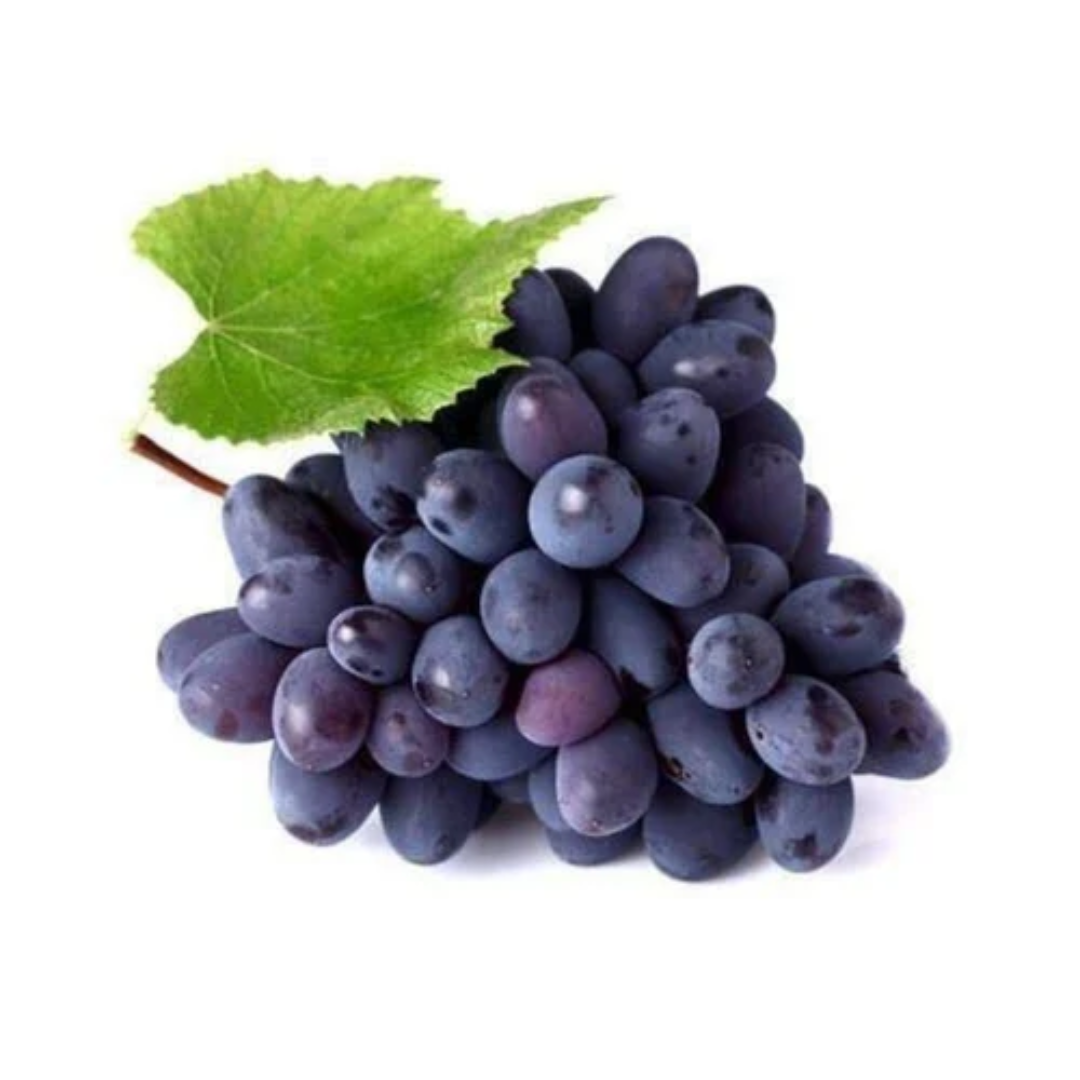 Wholesale Paneer Grapes (Seeded) – United Arab Emirates